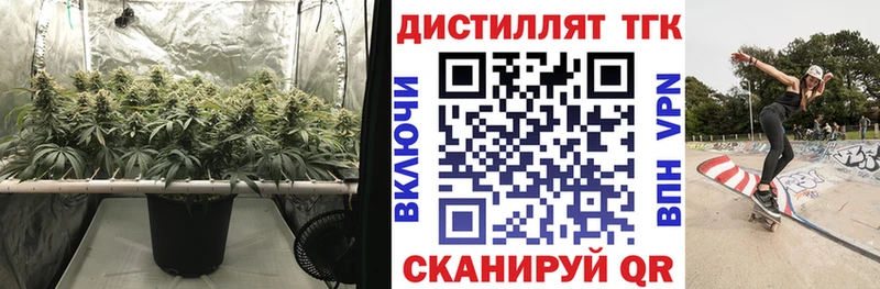 купить наркотик  Уржум  ТГК THC oil 