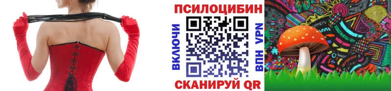 Псилоцибиновые грибы MAGIC MUSHROOMS  закладка  Уржум 