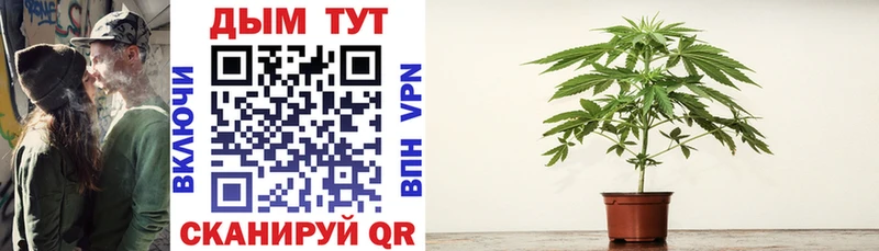 МАРИХУАНА Ganja  Уржум 